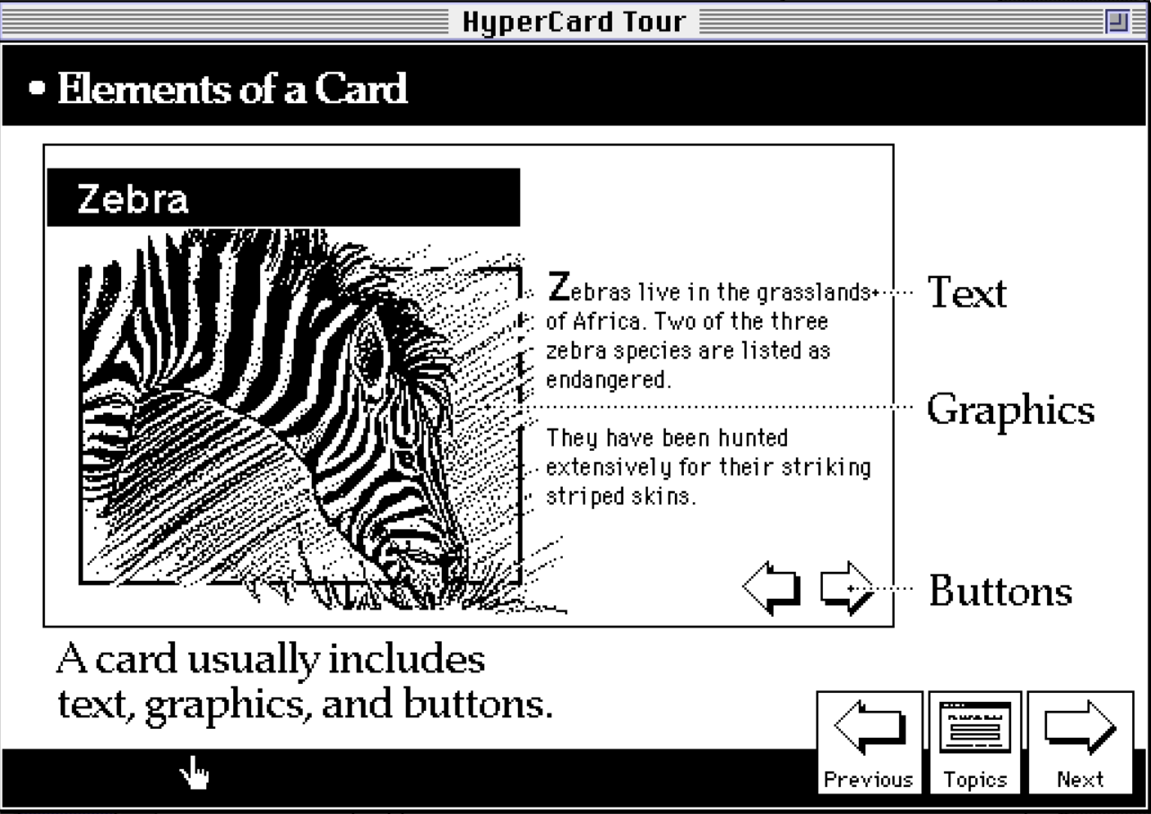 A HyperCard Tour screen titled “Elements of a Card” showing a sample card layout. The example includes a zebra illustration on the left, explanatory text on the right, and arrow-shaped navigation buttons, with labels indicating text, graphics, and buttons as core card elements.